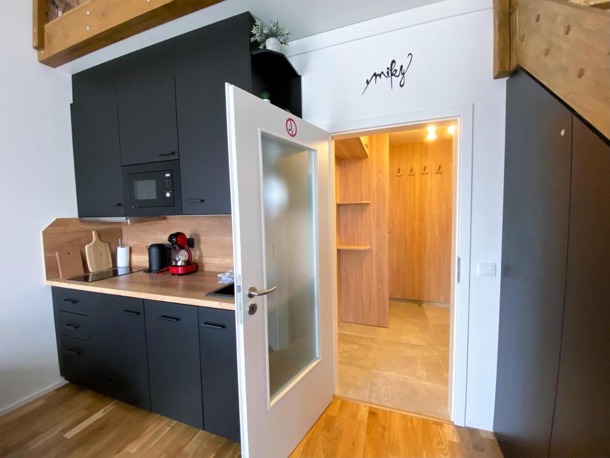 Miky Apartman Klinovec View Loučná pod Klínovcem Extérieur photo
