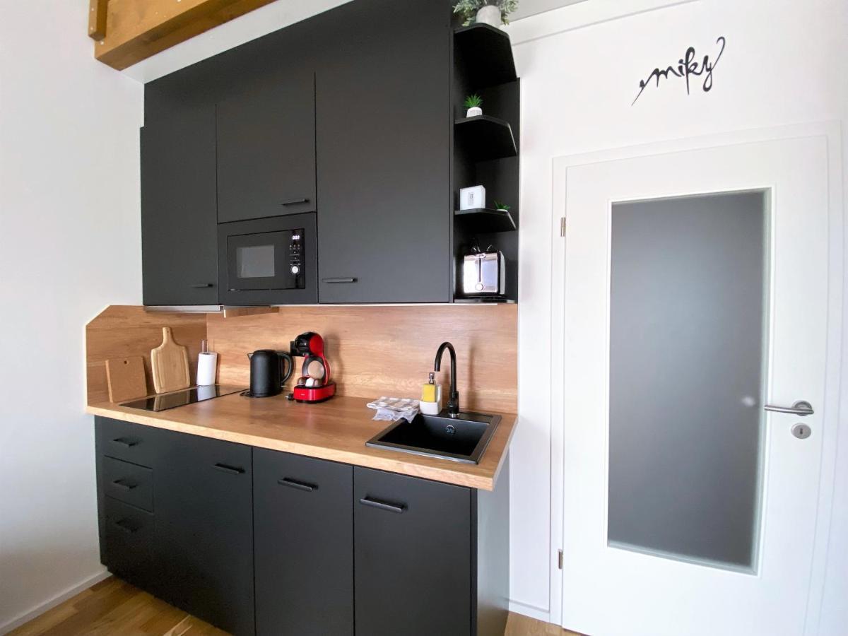 Miky Apartman Klinovec View Loučná pod Klínovcem Extérieur photo