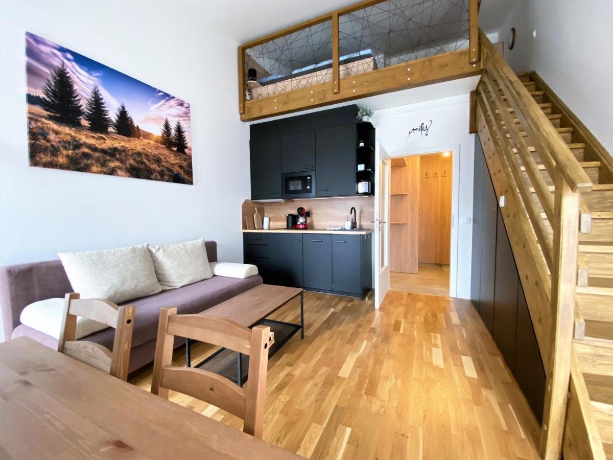 Miky Apartman Klinovec View Loučná pod Klínovcem Extérieur photo